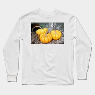 Three Mini Pumpkins Long Sleeve T-Shirt